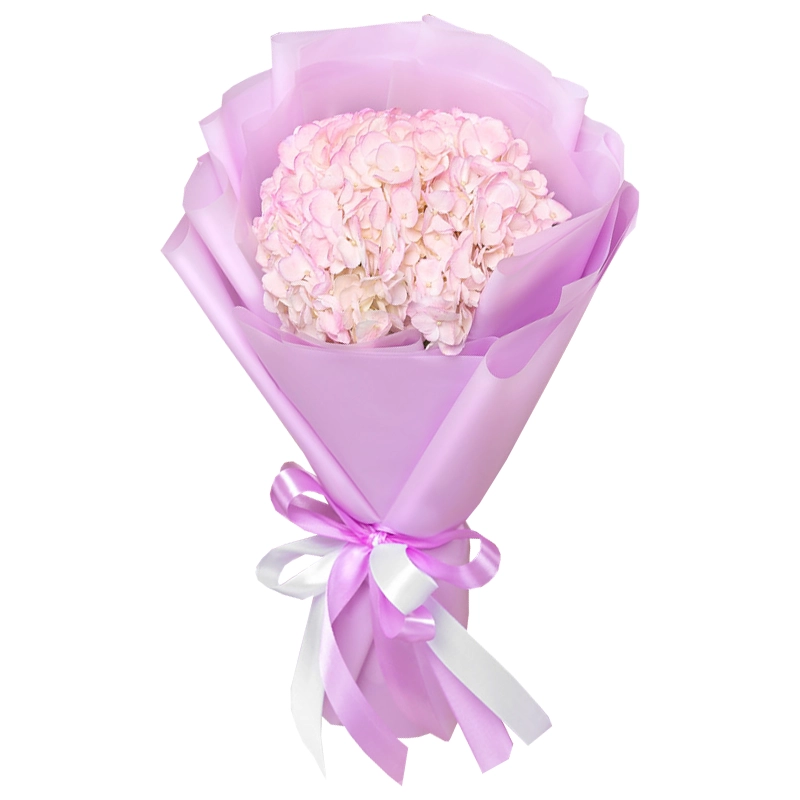 Букет из 1 розовой гортензии