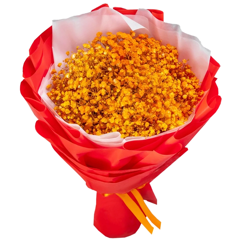 Букет из 9 оранжевых гипсофил