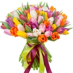 Тюльпаны палитра микс